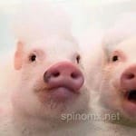 Avatar Alejandra Reyes