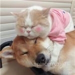 Avatar Inés Cazares