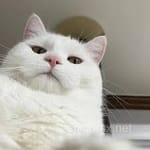 Avatar Iván Domínguez