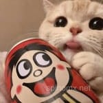 Avatar Melissa Montoya